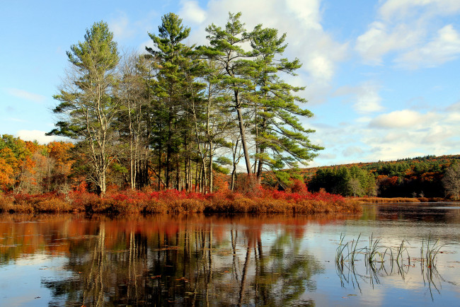 Обои картинки фото природа, реки, озера, лес, река, осень