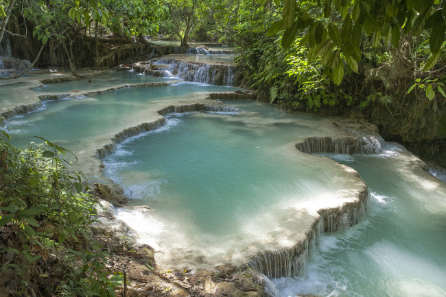 Обои картинки фото природа, реки, озера, лес, ручей, каскад