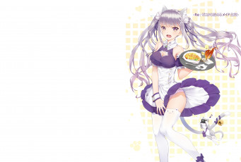Картинка аниме re +zero+kara+hajimeru+isekai+seikatsu emilia pack