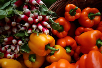 Картинка еда овощи урожай