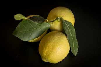 Картинка еда цитрусы лимоны