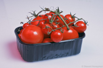 Картинка еда помидоры томаты