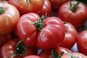 Картинка еда помидоры томаты