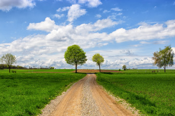 Картинка природа дороги дорога поле