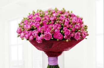 Картинка цветы розы букеты бутоны