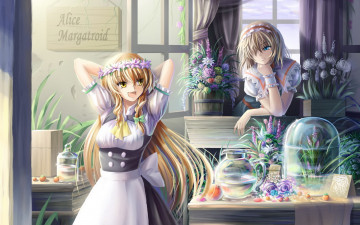 Картинка аниме touhou взгляд девушки фон