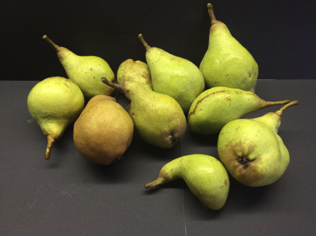 Обои картинки фото еда, груши, плоды