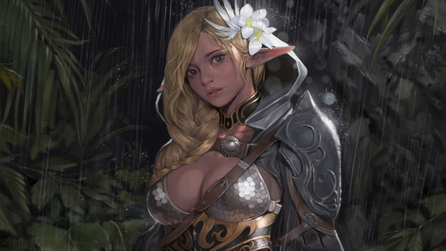 Обои картинки фото фэнтези, эльфы, фентези, эльф, девушка, арт