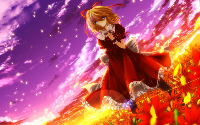 Обои картинки фото аниме, touhou, фон, девушка, взгляд