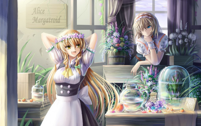 Обои картинки фото аниме, touhou, взгляд, девушки, фон