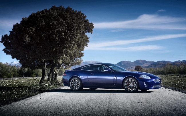 Обои картинки фото автомобили, jaguar, синий, дорога, Ягуар, деревья, трасса, шоссе