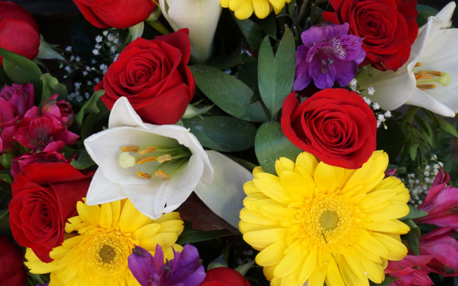 Обои картинки фото цветы, разные вместе, гербера, роза, краски, тюльпан, букет, лепестки