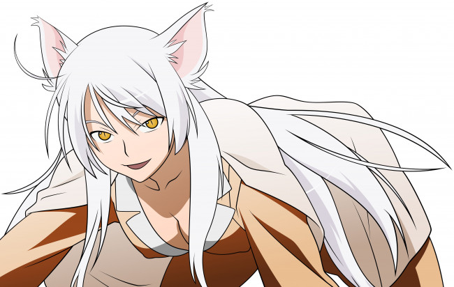 Обои картинки фото аниме, bakemonogatari, взгляд, девушка, фон