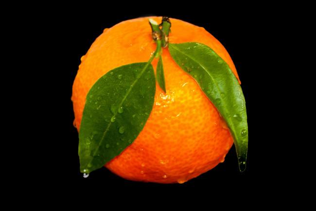 Обои картинки фото еда, цитрусы, апельсин