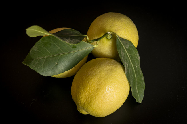 Обои картинки фото еда, цитрусы, лимоны