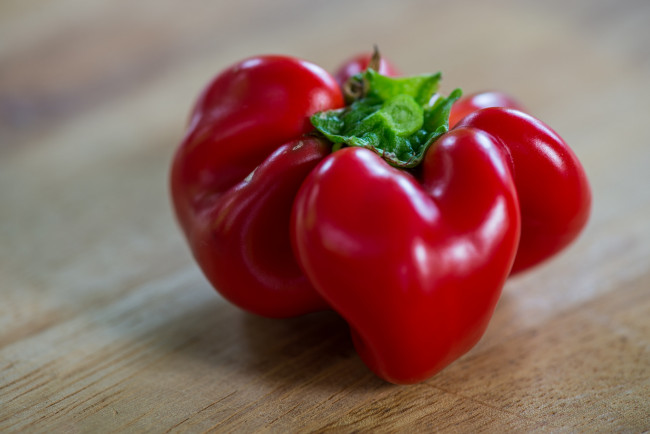 Обои картинки фото еда, помидоры, томаты