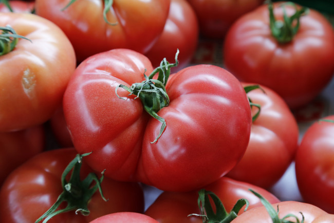 Обои картинки фото еда, помидоры, томаты