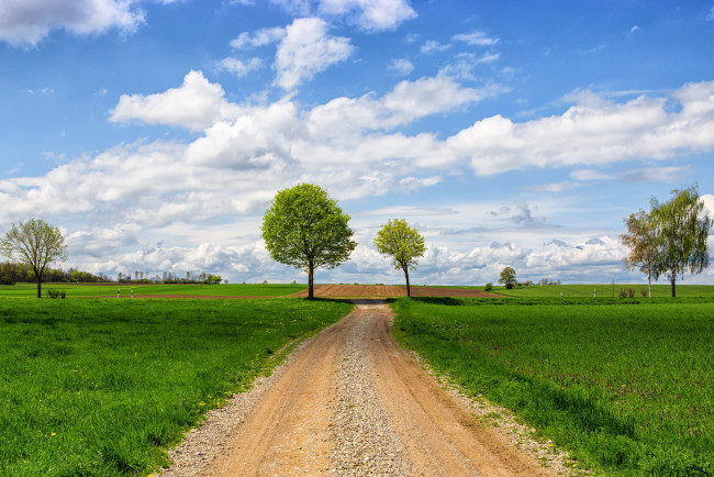 Обои картинки фото природа, дороги, дорога, поле