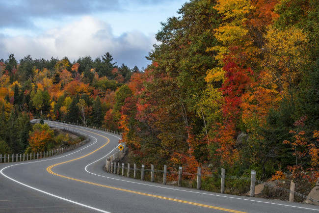 Обои картинки фото природа, дороги, лес, дорога, осень