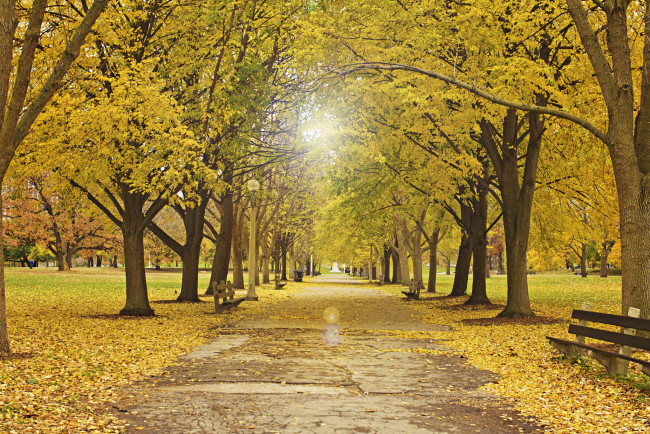 Обои картинки фото природа, парк, осень, скамейка