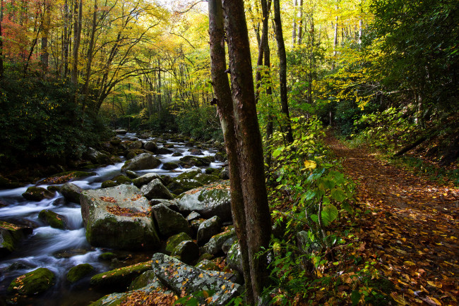 Обои картинки фото природа, реки, озера, деревья, река