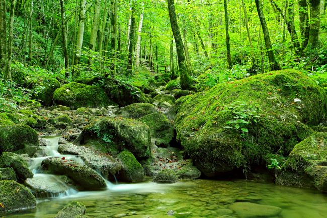 Обои картинки фото природа, водопады, водопад, камни, река