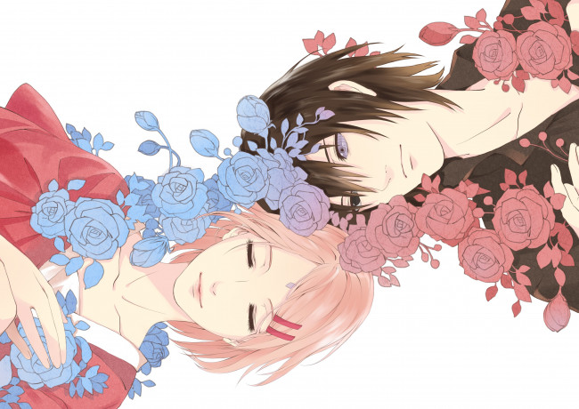 Обои картинки фото аниме, naruto, саске, сакура