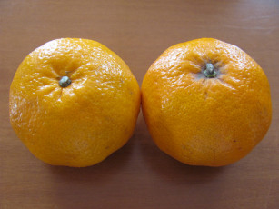 Картинка еда цитрусы апельсины