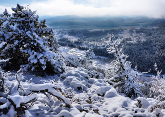 Картинка природа зима простор