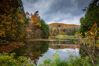 Картинка природа реки озера простор