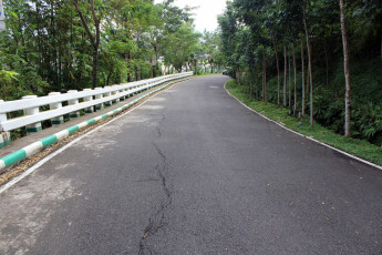 Картинка природа дороги шоссе