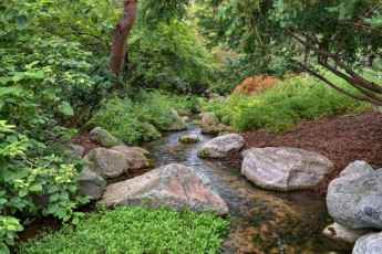 Картинка природа парк простор