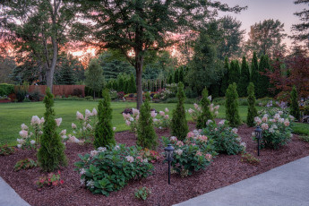 Картинка природа парк простор