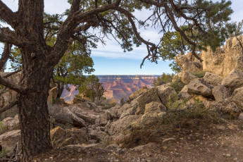 Картинка природа пейзажи простор