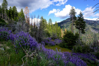 Картинка природа пейзажи простор