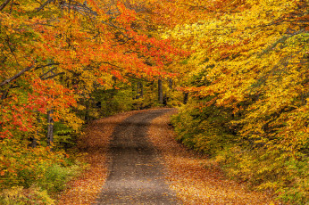 Картинка природа дороги простор