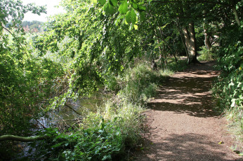 Картинка природа дороги простор