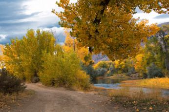 Картинка природа дороги простор