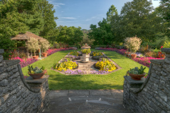 Картинка природа парк простор