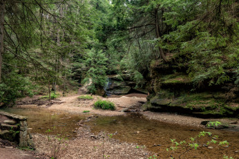 Картинка природа реки озера простор