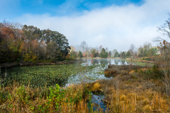 Картинка природа реки озера простор