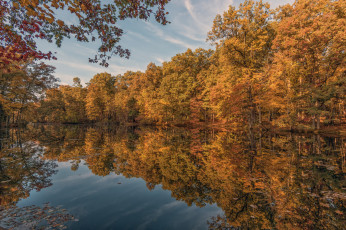 Картинка природа реки озера простор