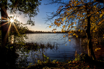 Картинка природа реки озера простор