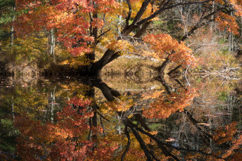 Картинка природа реки озера простор