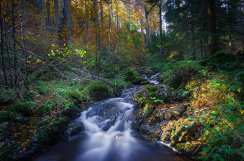 Картинка природа реки озера простор