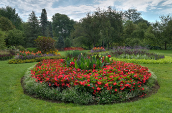 Картинка природа парк простор