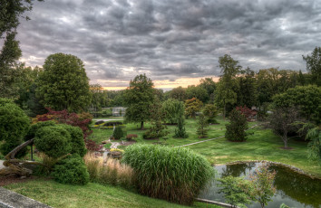 Картинка природа парк простор