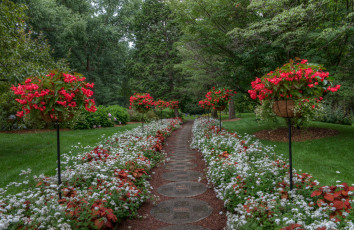 Картинка природа парк простор