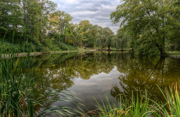 Картинка природа реки озера простор