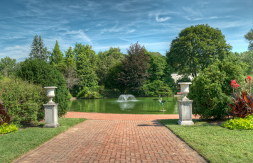 Картинка природа парк простор